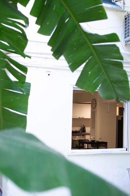 דירות אתונה Garden Apt מראה חיצוני תמונה